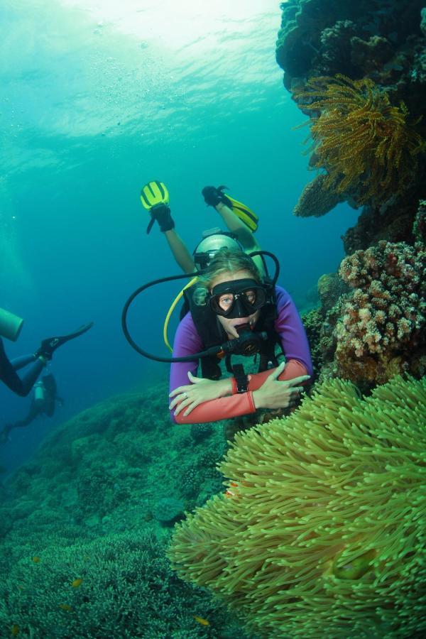 Bongo Bongo Divers Dauin Zewnętrze zdjęcie