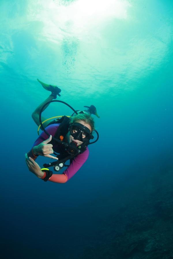 Bongo Bongo Divers Dauin Zewnętrze zdjęcie